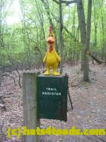 /home//u458753944/public_html/sourcegallery//Chickens/Valley Forge/P1060799.JPG